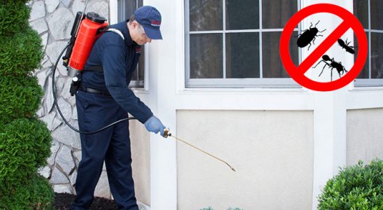 Yahyalı Dezenfeksiyon böcek ilaçlama ve haşere kontrolü — ilaclama-tr.com